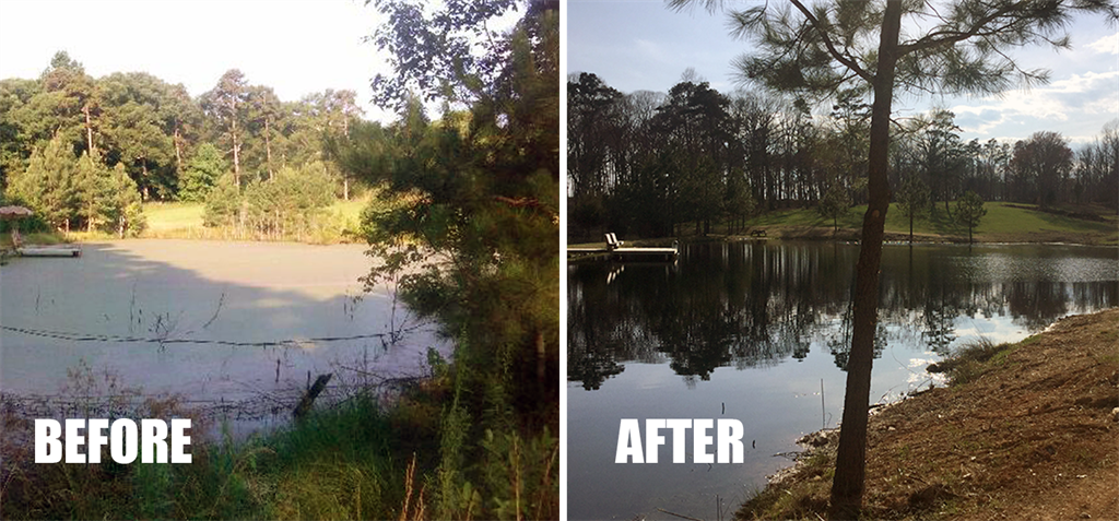 pond before transformation duckweed customer following treatment